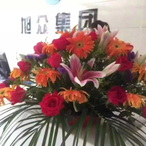 5a8fd79fb6a88.jpg 555.jpg